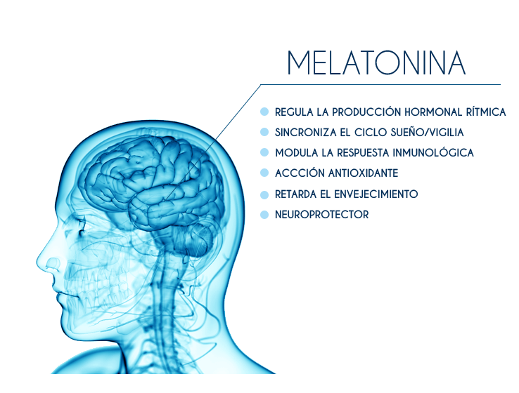 Melatonina efectos adversos y peligros a la salud