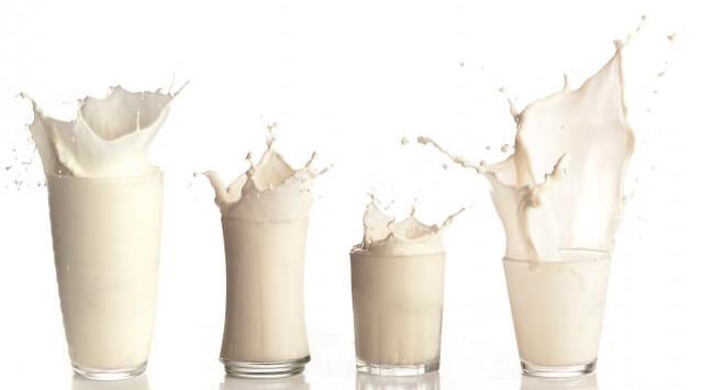 El Yogurt Es Proteína, Que Porcentaje De Proteínas Tiene