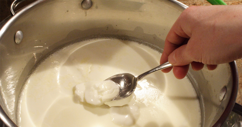 Como Hacer Yogurt Natural, En Pasos Muy Sencillos